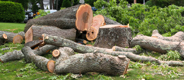  Spring Lake, NC Tree Care Pros